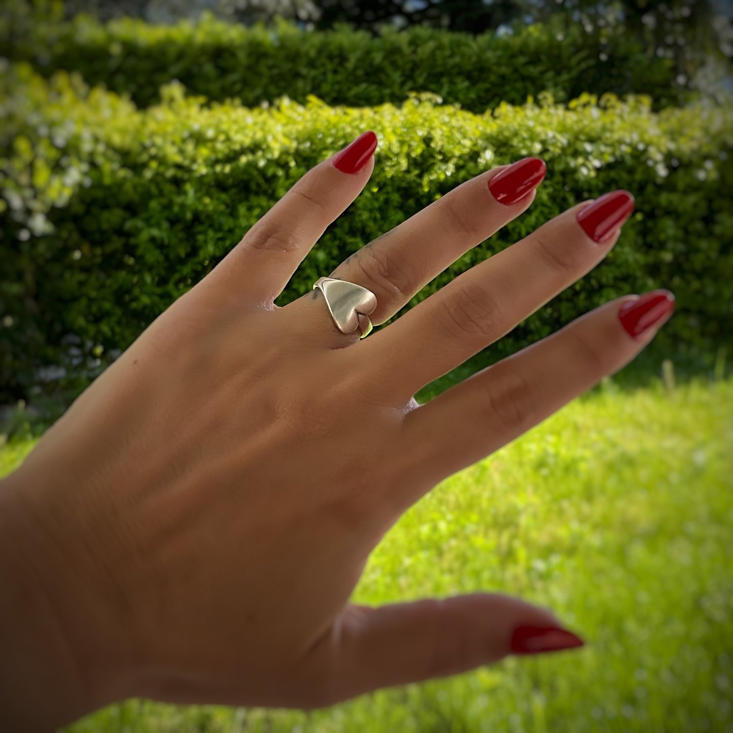 Anello Passion CC